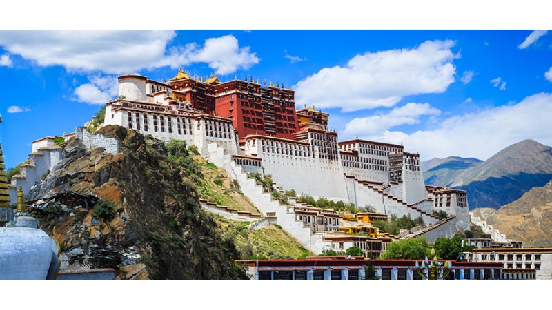 西藏賞花朝聖之旅