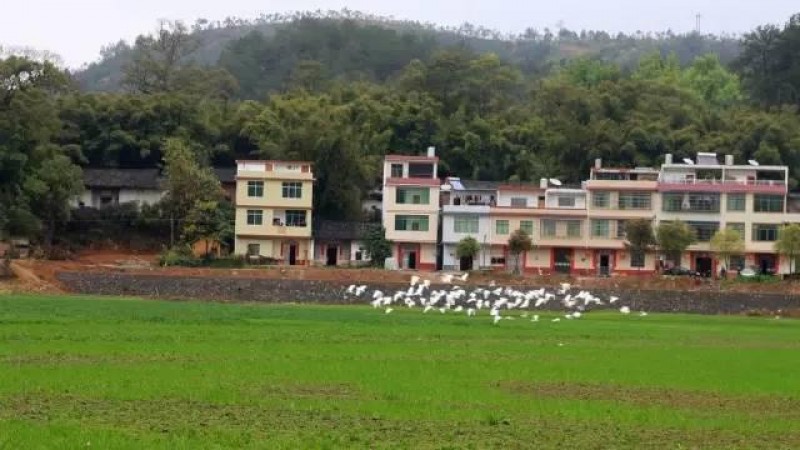 廣東清遠山鄉農村生活體驗之旅