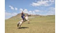 探索蒙古國歷史宗教文化、生活體驗之旅