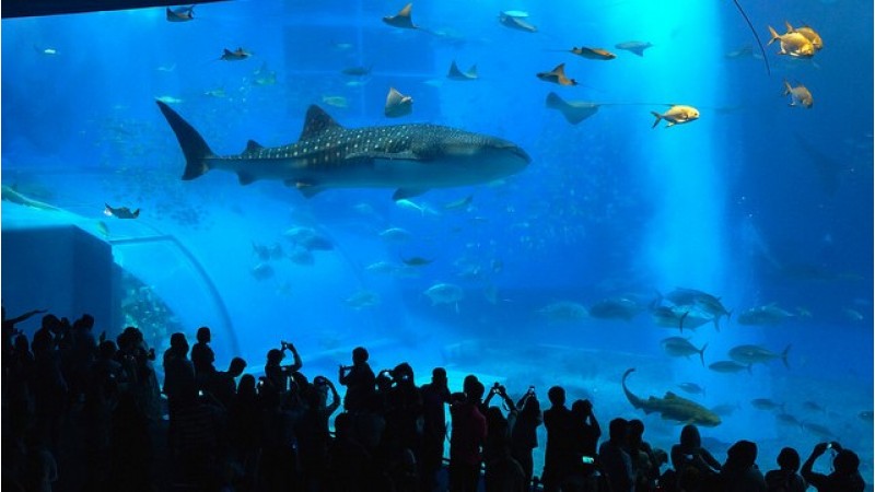 沖繩歷史、文化及農家體驗之旅