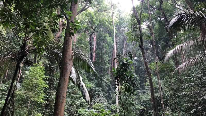 探索馬來西亞多元文化﹑自然資源及生態保育之旅