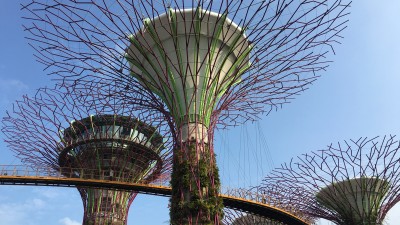 探索新加坡生態保育﹑環境保護之旅