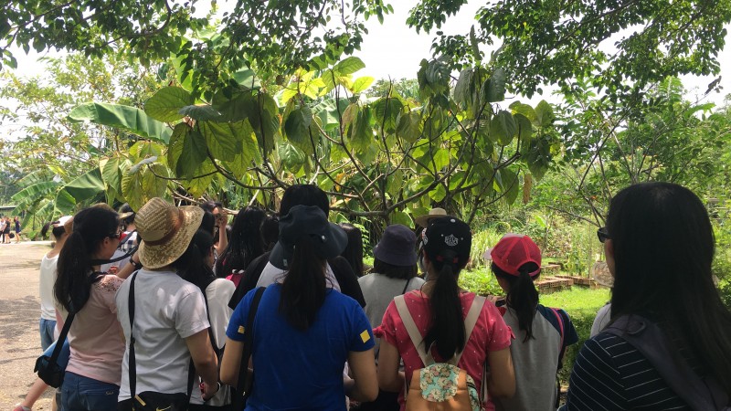 探索新加坡生態保育﹑環境保護之旅