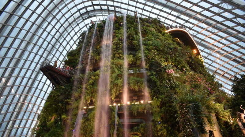 探索新加坡生態保育﹑環境保護之旅