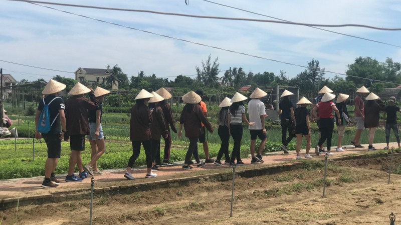 越南峴港歷史文化﹑義工服務及農耕體驗之旅