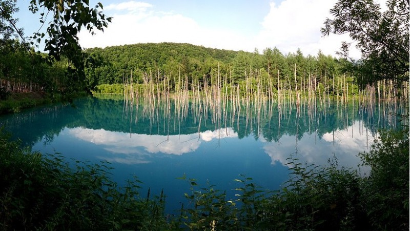 北海道自然生態、文化體驗之旅