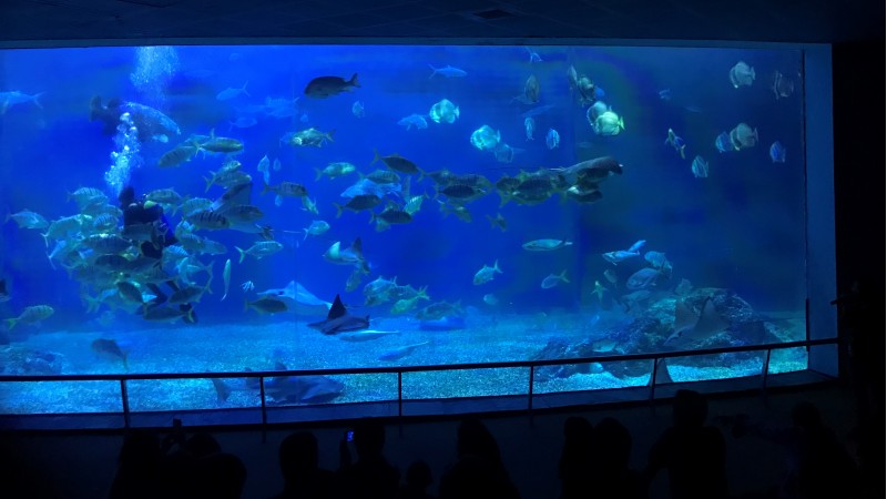 台南自然生態探索之旅