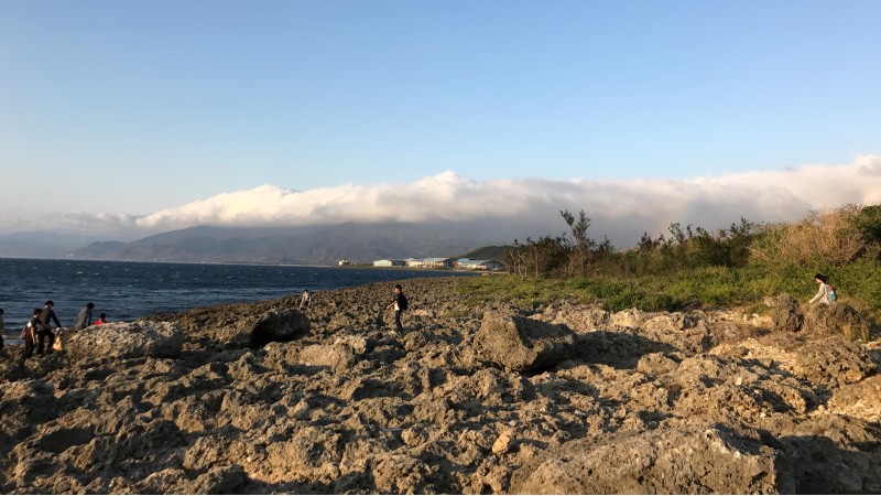 台南自然生態探索之旅