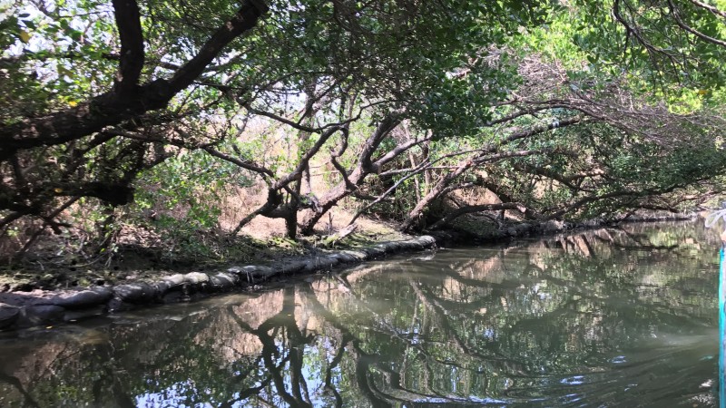 台南自然生態探索之旅