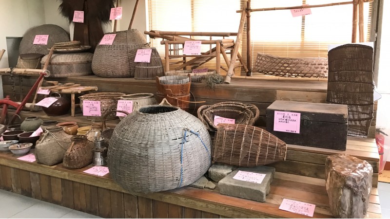 台南自然生態探索之旅