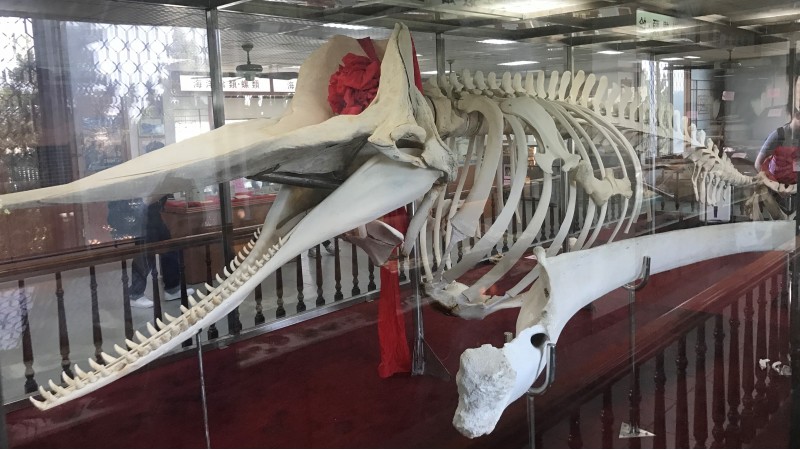 台南自然生態探索之旅